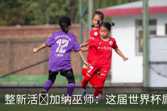 整新活😅加纳巫师：这届世界杯属于C罗葡萄牙 意外诅咒了土耳其